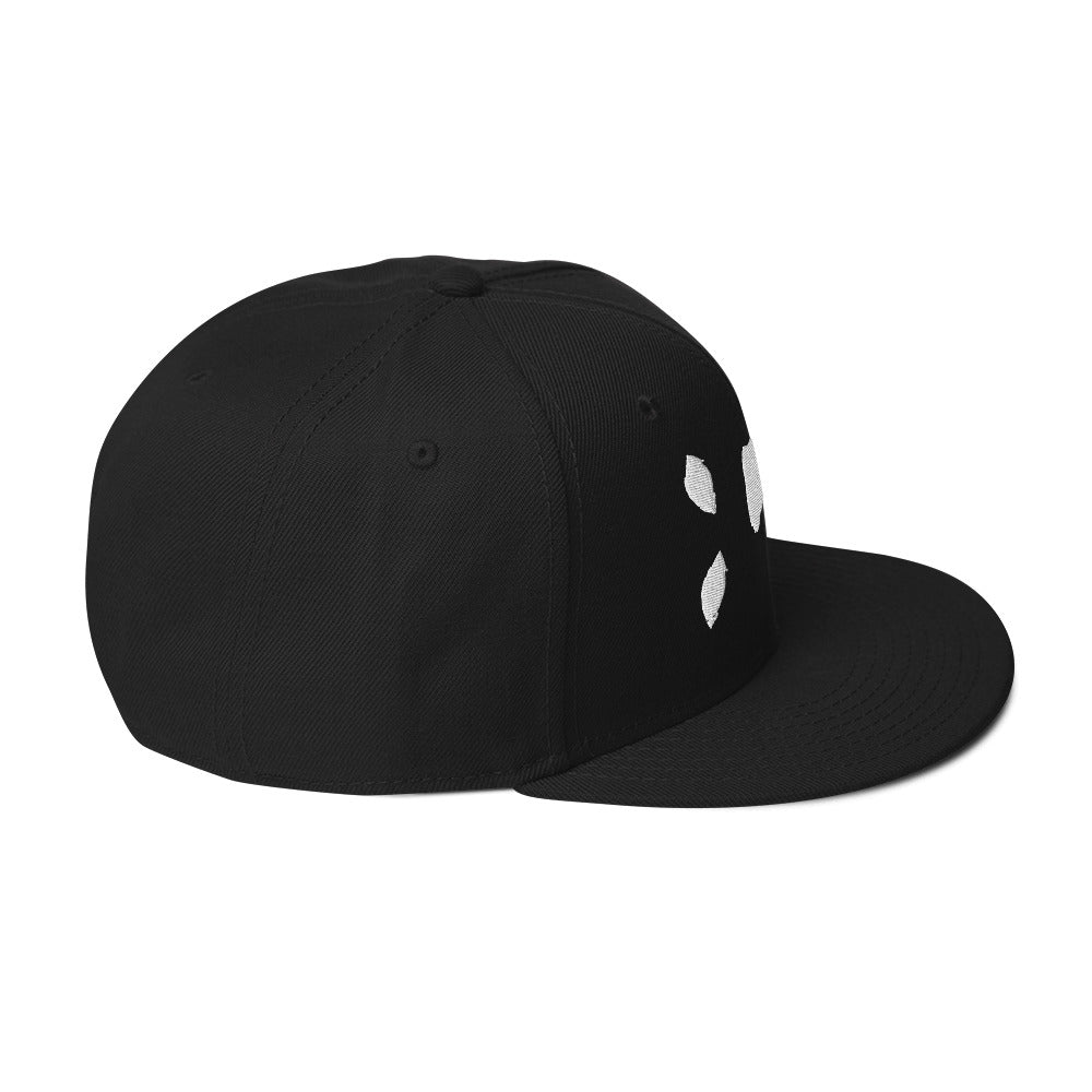 IYKYK Bold Jumping Spider Snapback Hat - VaVaVarium