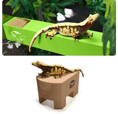 Geckopia Flex Bridge/Tree House Bundle - VaVaVarium