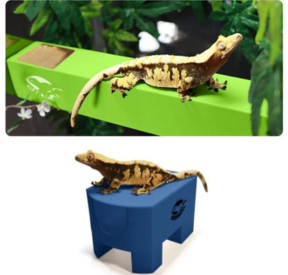 Geckopia Flex Bridge/Tree House Bundle - VaVaVarium