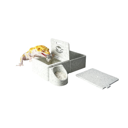 Geckopia Triple Dish Convenient Feeder - Pet Accessories - VaVaVarium